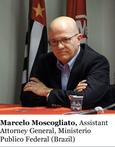 Moscaogliato