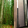 Environmental Law Society Symposium Logo