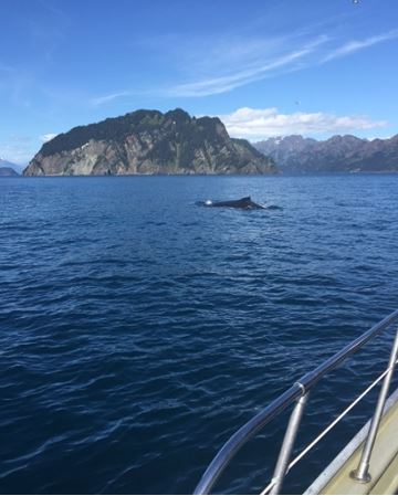 Alaska Boat