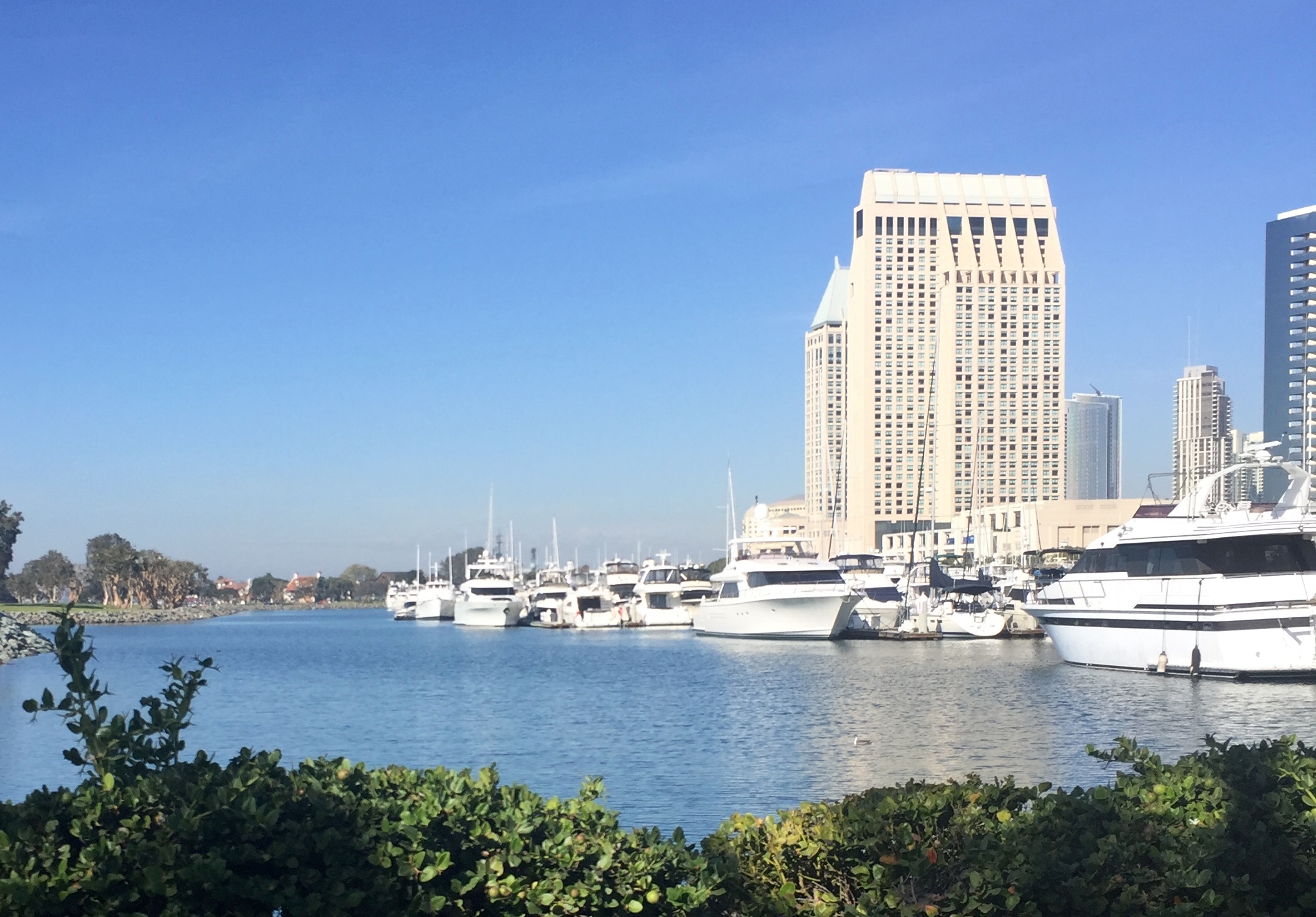 2018 AALS Conference Day Two School of Law