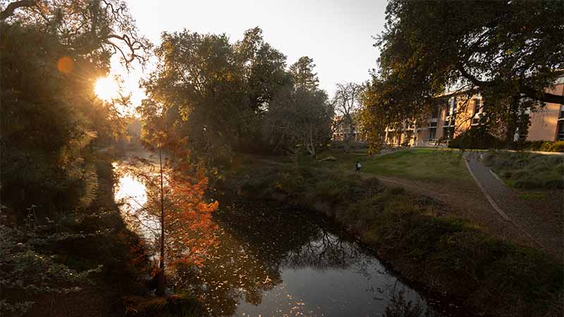 Image of a body of water and sunlight. 