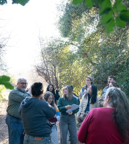 Group of students standing in a sunny wooded clearing, chatting casually.