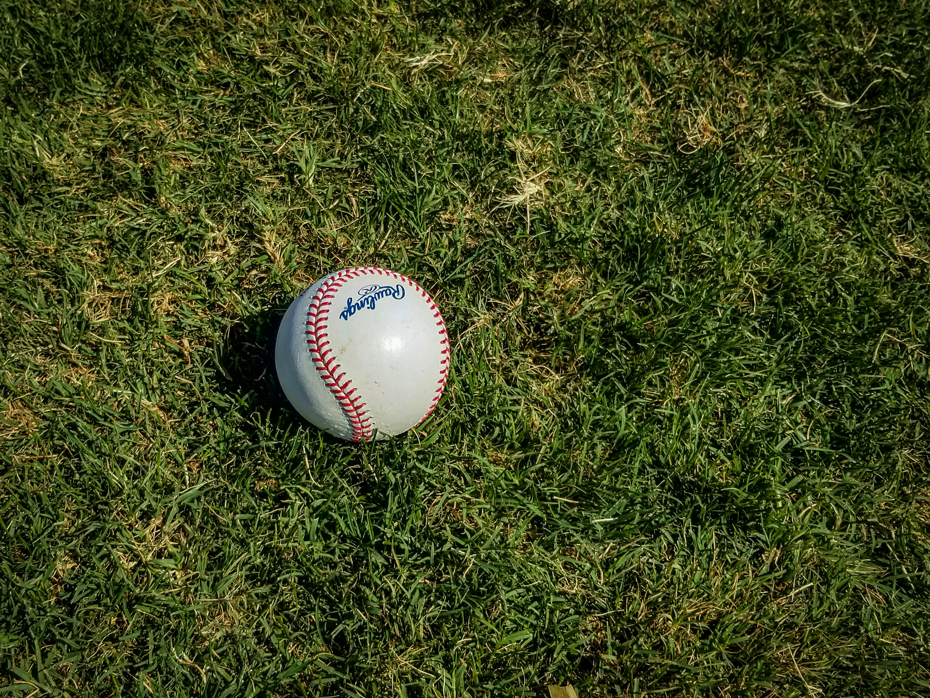 A baseball lying on the green grass.