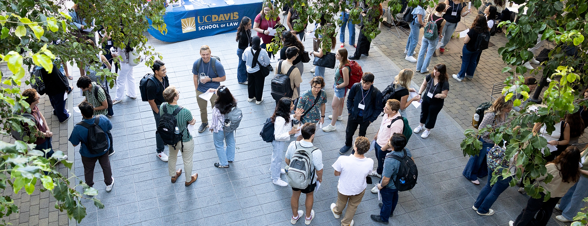 An overhead glimpse of the King Hall courtyard. There are green trees on the left and right, with King Hall members of the Class of 2028 mingling in the center. 