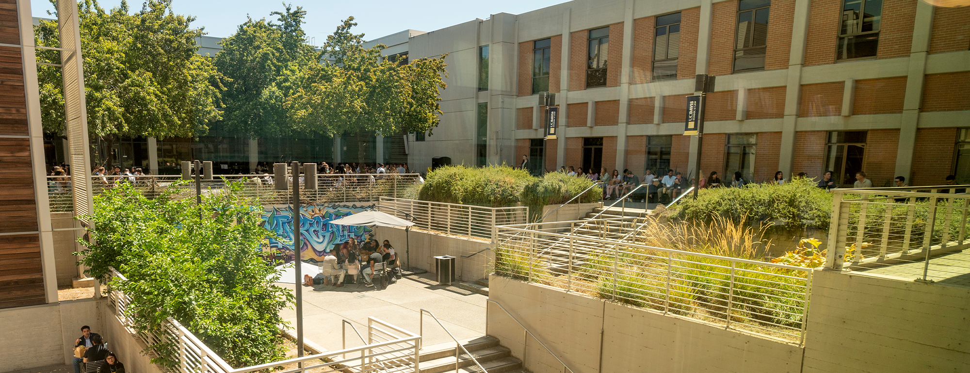 The UC Davis Law courtyard on a summer day, with sunny sky.